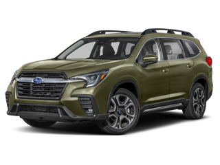 Ascent Autumn Green Metallic