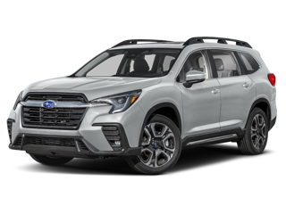 Ascent Ice Silver Metallic