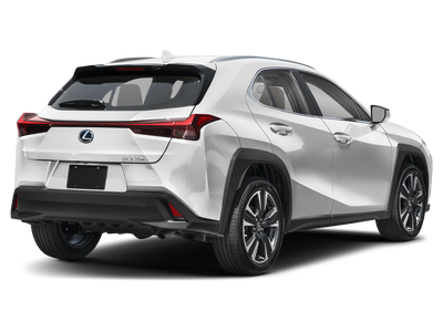 2025 Lexus UX 300h Premium