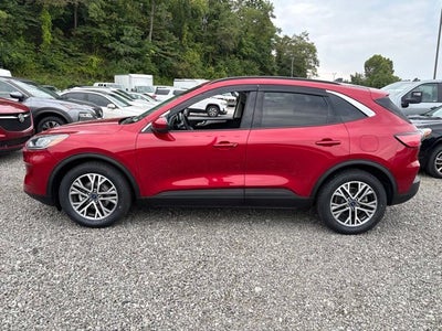 2021 Ford Escape Hybrid SEL