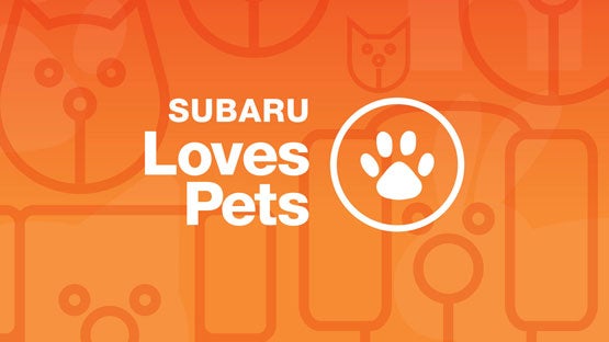 Bowser Subaru in Pittsburgh PA