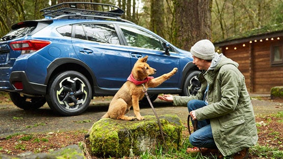 Bowser Subaru in Pittsburgh PA